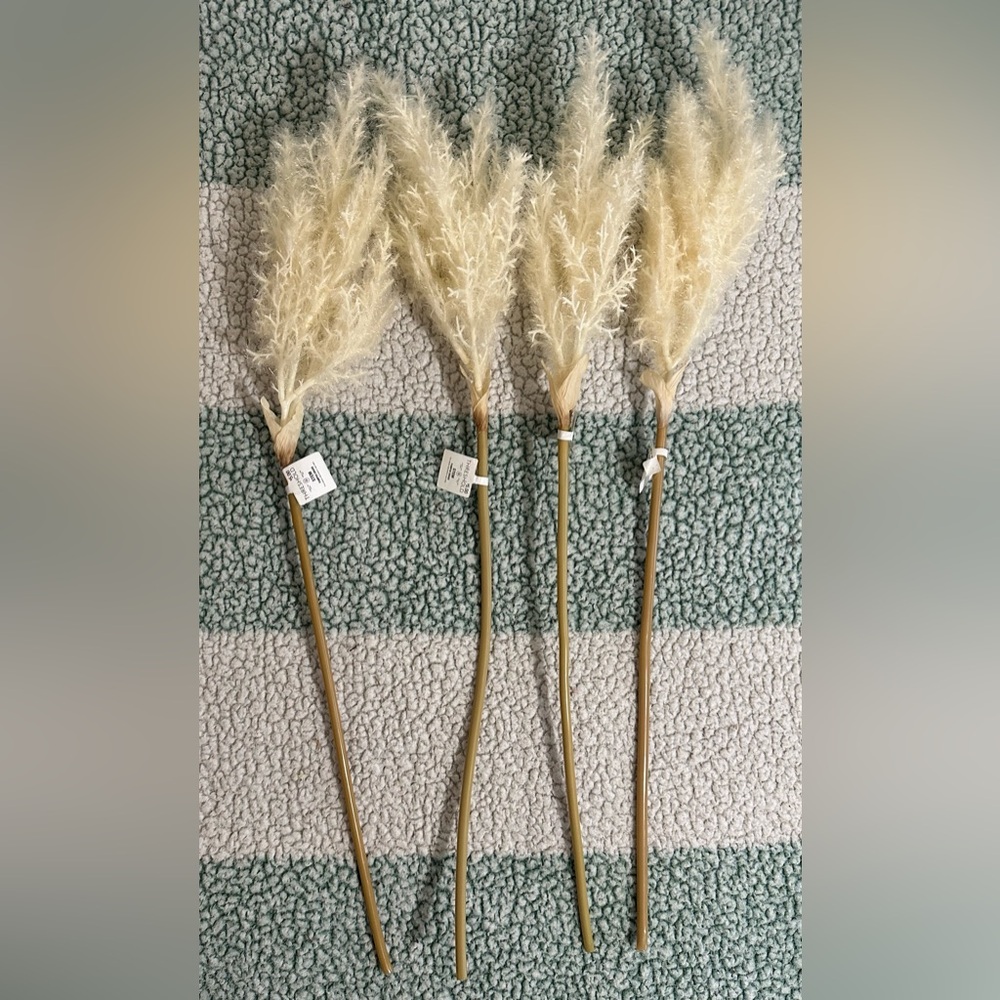 STEM PAMPAS GRASS For indoor decorative use. Lot of 4 about 30” tall